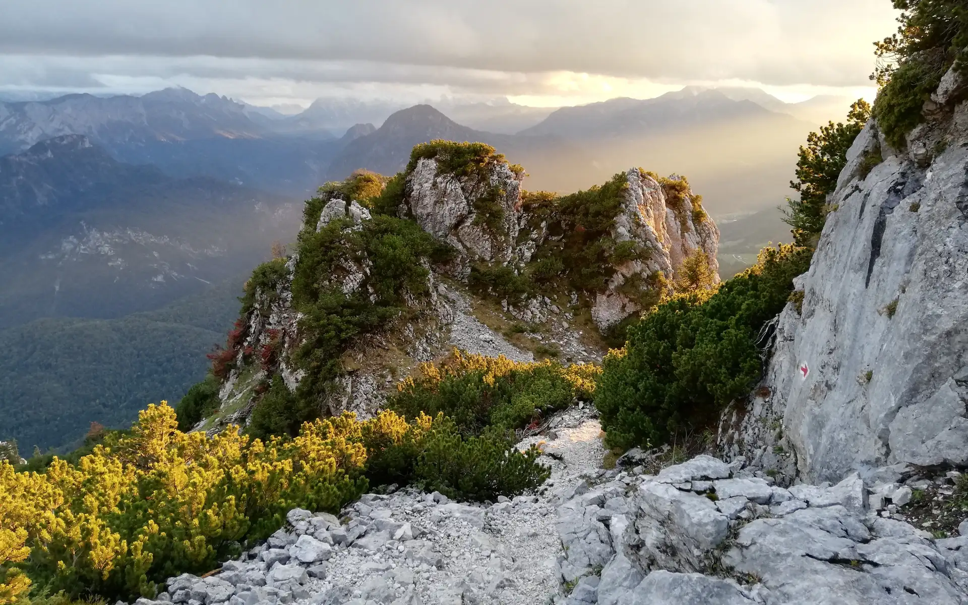 Rock formation with forest and mountains in the background, bathed in soft natural light